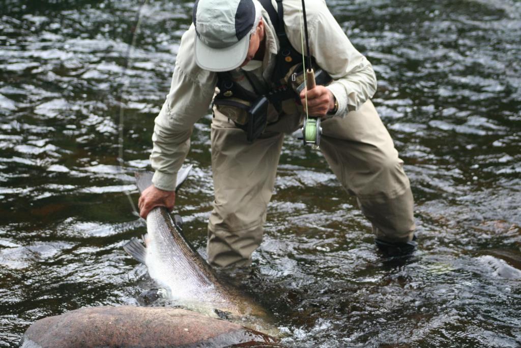 Riviere Petit Saguenay Villa Værelse billede