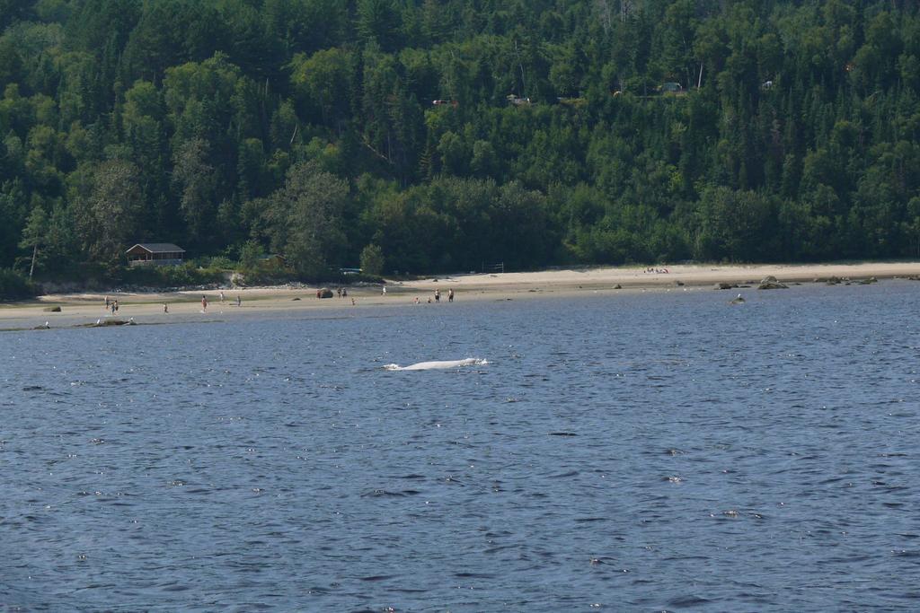 Riviere Petit Saguenay Villa Eksteriør billede
