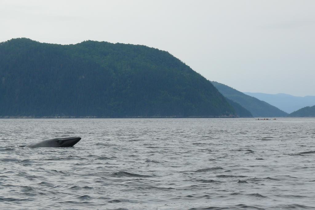 Riviere Petit Saguenay Villa Eksteriør billede